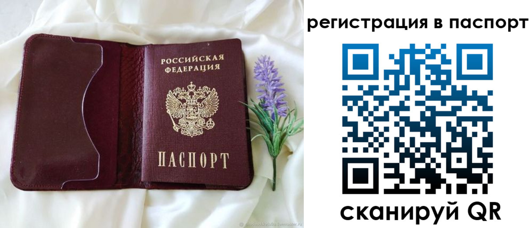 временная регистрация для всех в Амурской области