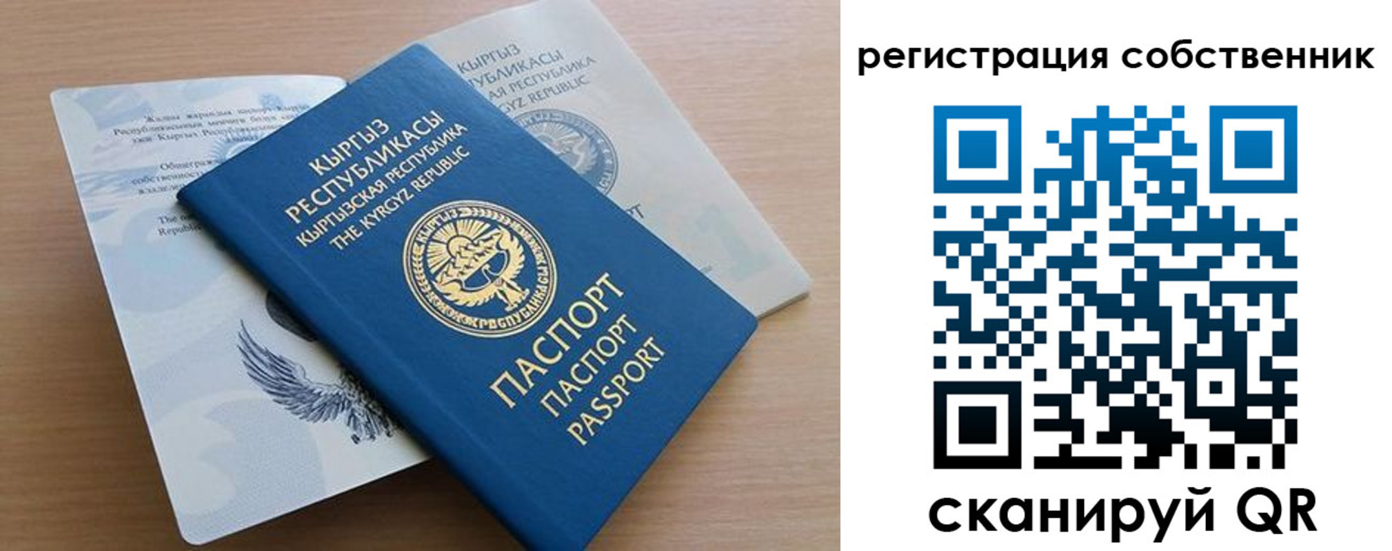 миграционный учет в Амурской области